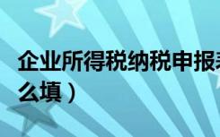 企业所得税纳税申报表怎么填（纳税申报表怎么填）