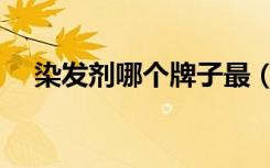 染发剂哪个牌子最（染发剂那个品牌好）