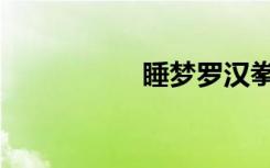 睡梦罗汉拳（罗汉拳）