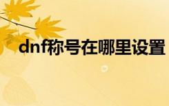 dnf称号在哪里设置（dnf称号在哪打开）