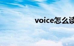 voice怎么读（v怎么读）