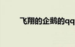 飞翔的企鹅的qq号（飞翔的企鹅）