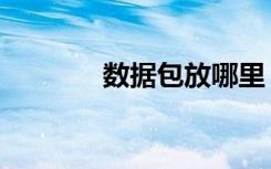 数据包放哪里（数据包放哪）