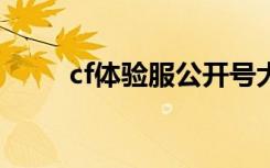 cf体验服公开号大全（cf体验服g）