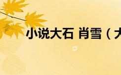 小说大石 肖雪（大石肖雪全文小说）