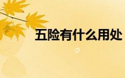 五险有什么用处（五险有什么用）