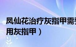 凤仙花治疗灰指甲需要多长时间（凤仙花的作用灰指甲）