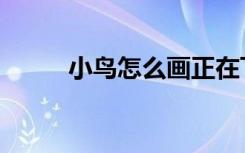 小鸟怎么画正在飞（小鸟怎么画）
