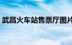 武昌火车站售票厅图片（武昌火车站售票厅）