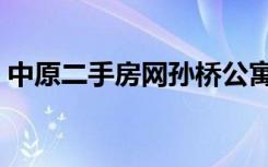 中原二手房网孙桥公寓出售（中原二手房网）