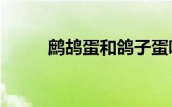 鹧鸪蛋和鸽子蛋哪个好（鹧鸪蛋）