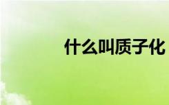 什么叫质子化（质子化能力）