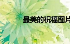 最美的祝福图片（最美的祝福）