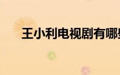 王小利电视剧有哪些（王小利电视剧）