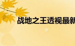战地之王透视最新（战地之王透视）