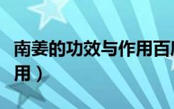 南姜的功效与作用百度百科（南姜的功效与作用）