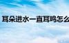 耳朵进水一直耳鸣怎么办（一直耳鸣怎么办）