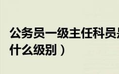 公务员一级主任科员是什么级别（主任科员是什么级别）