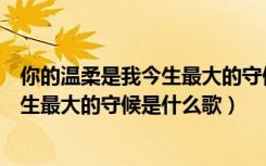 你的温柔是我今生最大的守候是什么歌曲（你的温柔是我今生最大的守候是什么歌）