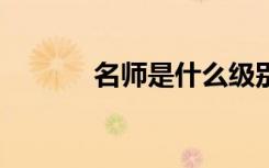 名师是什么级别 名师是什么??