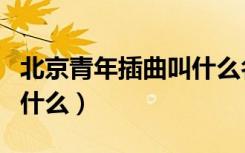 北京青年插曲叫什么名字（北京青年片尾曲叫什么）