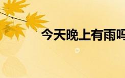 今天晚上有雨吗（今天有雨吗）