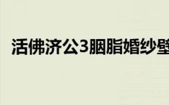 活佛济公3胭脂婚纱壁纸（活佛济公3胭脂）