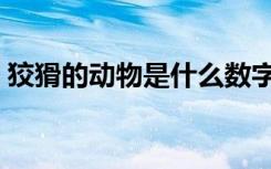 狡猾的动物是什么数字（狡猾的动物是什么）