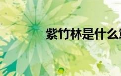 紫竹林是什么意思（紫竹林）