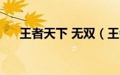 王者天下 无双（王者风流之天下无双）