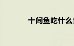 十间鱼吃什么食物（十间鱼）