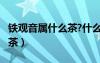铁观音属什么茶?什么季节喝?（铁观音属什么茶）