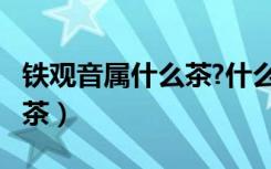 铁观音属什么茶?什么季节喝?（铁观音属什么茶）