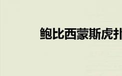 鲍比西蒙斯虎扑（鲍比西蒙斯）