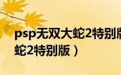 psp无双大蛇2特别版完美存档（psp无双大蛇2特别版）