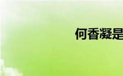 何香凝是谁的夫人