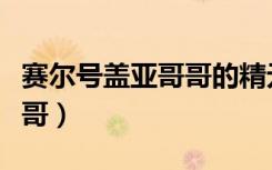 赛尔号盖亚哥哥的精元获取（赛尔号盖亚的哥哥）