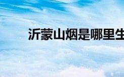 沂蒙山烟是哪里生产的（沂蒙山烟）