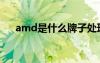 amd是什么牌子处理器（amd是什么）