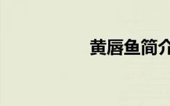 黄唇鱼简介（黄唇鱼）