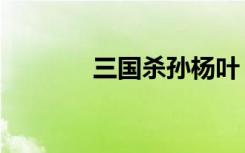 三国杀孙杨叶（三国杀孙杨）