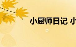 小厨师日记 小厨师小学作文