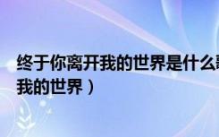 终于你离开我的世界是什么歌歌词是什么意思（终于你离开我的世界）