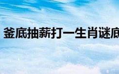 釜底抽薪打一生肖谜底（釜底抽薪打一生肖）