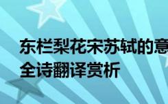 东栏梨花宋苏轼的意思 苏轼《东栏梨花》的全诗翻译赏析