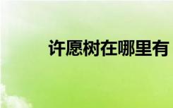 许愿树在哪里有（许愿树在哪里）
