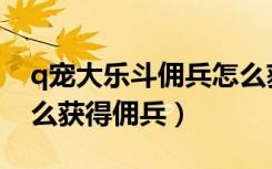 q宠大乐斗佣兵怎么获得极品（q宠大乐斗怎么获得佣兵）