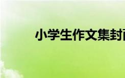 小学生作文集封面（作文集封面）