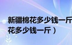 新疆棉花多少钱一斤2022市场价格（新疆棉花多少钱一斤）