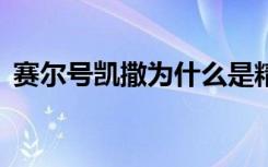 赛尔号凯撒为什么是精灵王（赛尔号2凯撒）